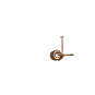 Avichaljha